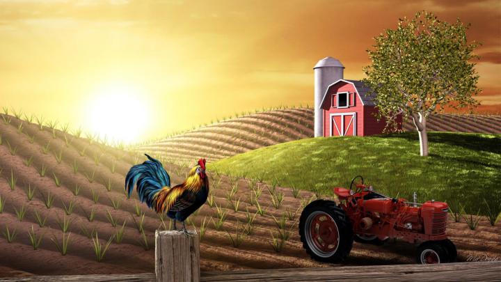 Farms Wallpapers