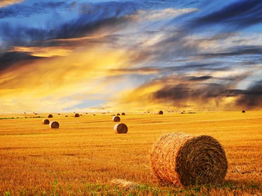 Fall Farm Desktop Wallpaper -