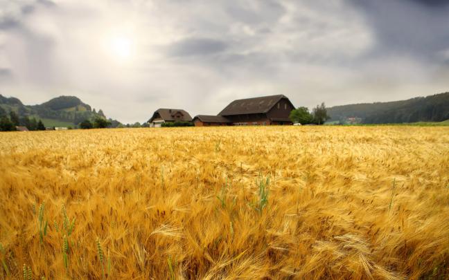 Farm Wallpaper -