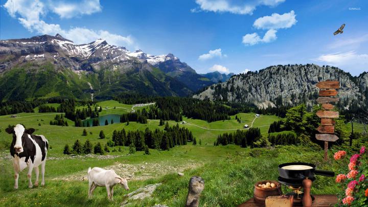 Farm Animals Wallpaper \u00b7\u2460 