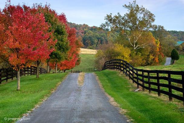 [44+] Free Wallpaper Country Scenes 