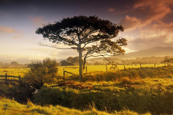 Fall Farm Desktop Wallpaper (39+ images)