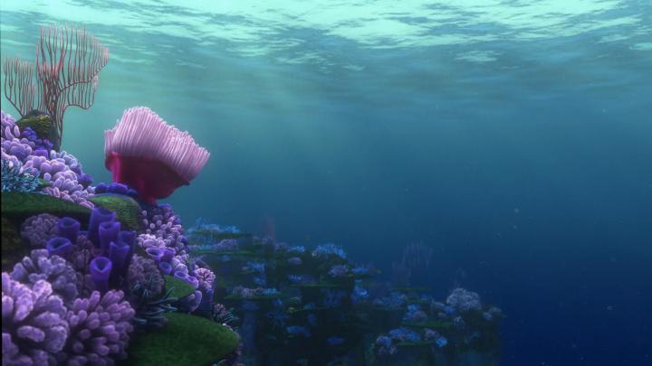 10 New Finding Nemo Wallpaper FULL HD 1080p For PC Desktop