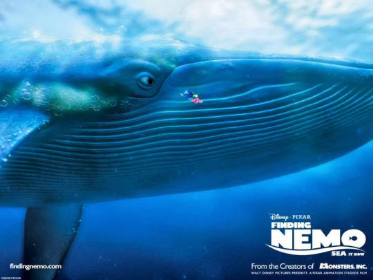 Free Desktop Wallpaper: Finding Nemo Desktop Wallpaper (Page 3)