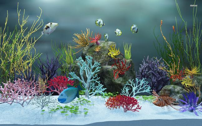 Moving Fish Wallpaper (57+ images)