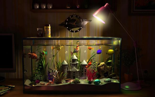 Animated Aquarium Desktop Wallpaper (53+ images)