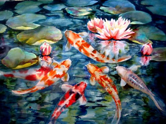 Animated Koi Fish Wallpapers - Top Free Animated Koi Fish Backgrounds 