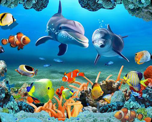 Live Moving Wallpaper Fish - 800x640 - Download HD Wallpaper - WallpaperTip