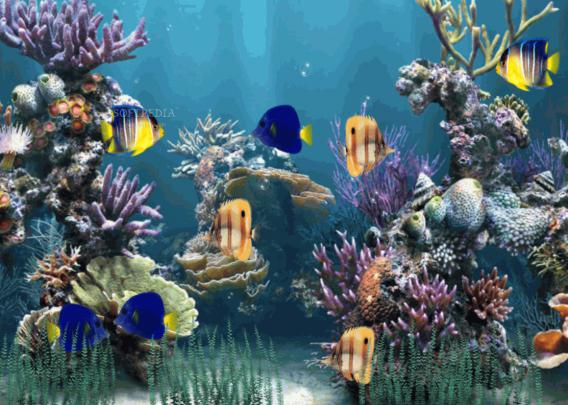 Download Aquarium Animated Wallpaper 1.1.0