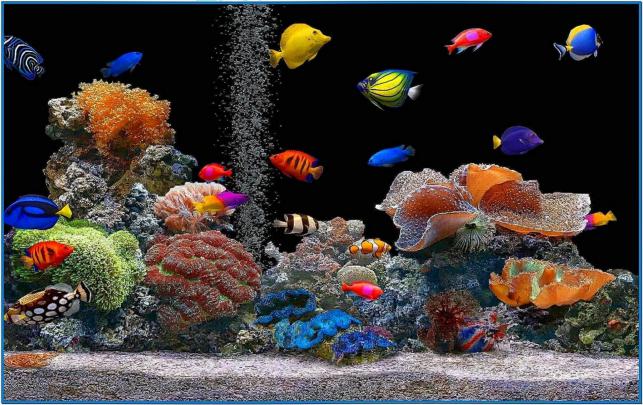 Screensavers Wallpaper - Download-Screensavers.biz