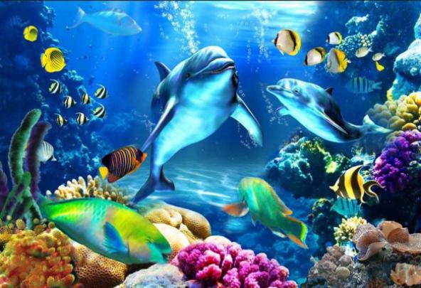 Moving Fish Screensaver Free Download - 800x600 Wallpaper - teahub.io