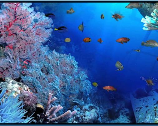 Free download Aquareal 3d sea aquarium screensaver Download [1943x1103 