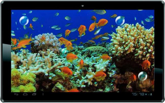 Free download 3D Live wallpaper for android Killer Fish 3D Live 