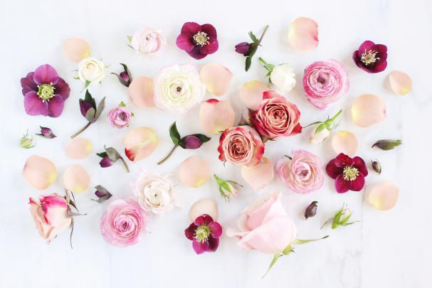 Aesthetic Flowers Wallpapers