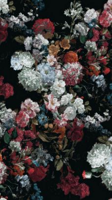 Aesthetic Flowers Wallpapers