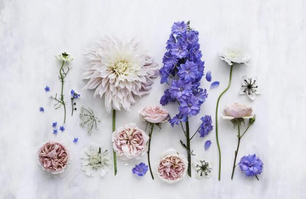 Aesthetic Floral Desktop Wallpapers