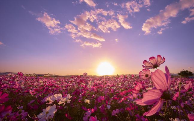 Morning Aesthetic Desktop Wallpapers - Top Free Morning Aesthetic 