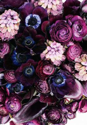 [50+] Aesthetic Flower - Android, iPhone, Desktop HD Backgrounds 