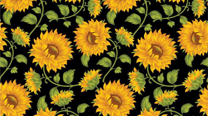 Aesthetic flower wallpaper laptop \u2022 Wallpaper For You HD Wallpaper For 