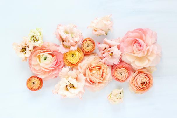 Flower Aesthetic PC Wallpapers on WallpaperDog