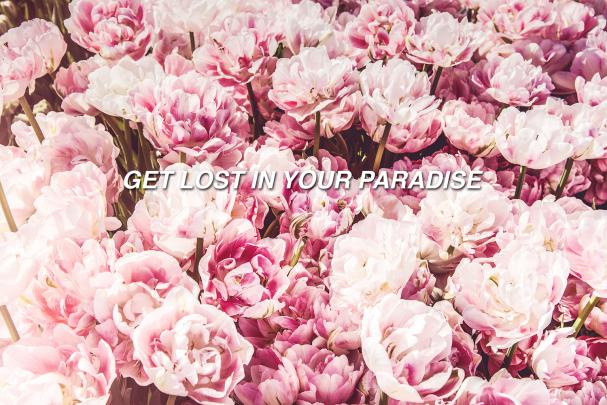 Pink Flowers Aesthetic Desktop Wallpapers