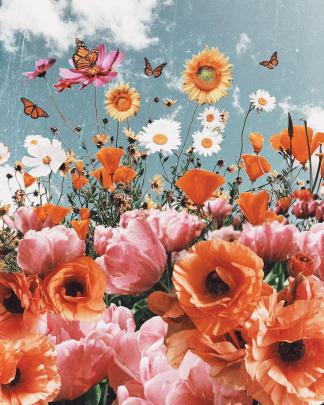 Flower Cute Aesthetic Wallpapers