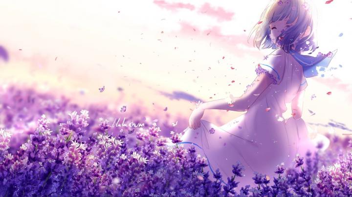 Girl in a field of purple flowers - anime live wallpaper [DOWNLOAD FREE]
