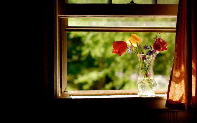 flowers wallpaper window - HD Desktop Wallpapers