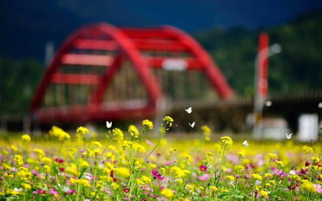 butterflies flowers summer season - HD Desktop Wallpapers