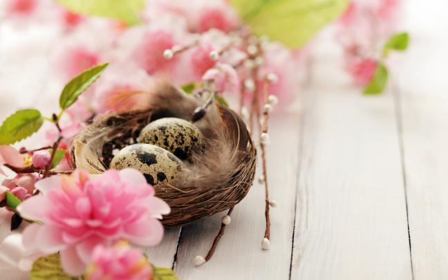 eggs flowers easter - HD Desktop Wallpapers