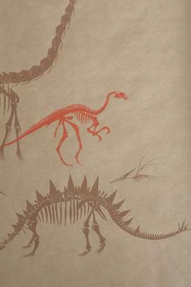 Download Fossil Wallpapers Gallery