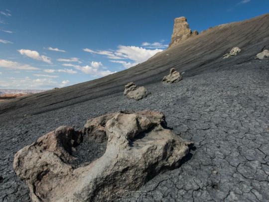 Fossil 4K wallpapers for your desktop or mobile screen free and easy to 