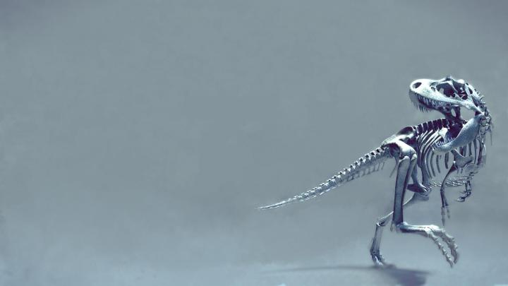 Dinosaurs Wallpaper -