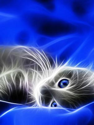 Free download WallpapersWallpaperszzfree wallpapersHQ wallpapers3D 