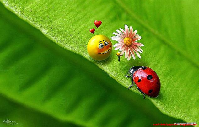 Free 3D Desktop Wallpaper | Cool HD Wallpapers