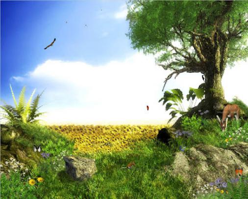 animated wallpapers | animation wallpaper | download wallpapers | free 