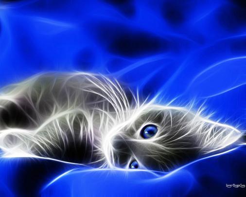 Free download WallpapersWallpaperszzfree wallpapersHQ wallpapers3D 