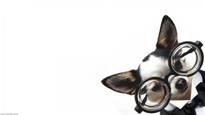 Cute Desktop Backgrounds (62+ pictures)