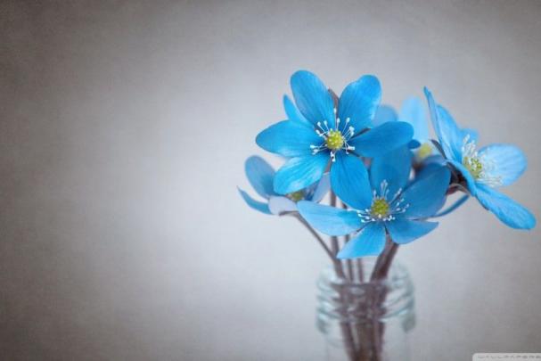 Cute Wallpapers for Desktop \u00b7\u2460 