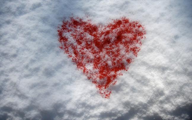 Free download Valentines Day February 14 wallpapers and images 