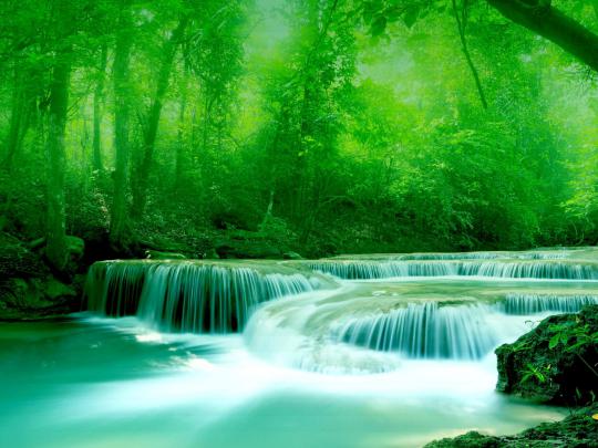 Wallpaper River, Water, Rocks, Trees, Greenery Free Wallpapers Download 