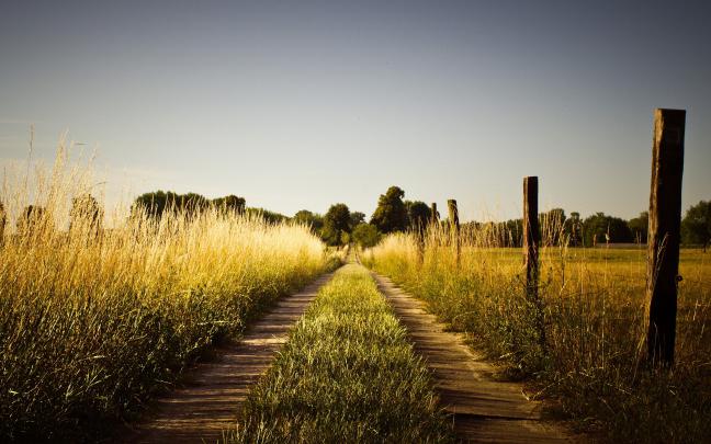 summer wallpaper countryside - HD Desktop Wallpapers