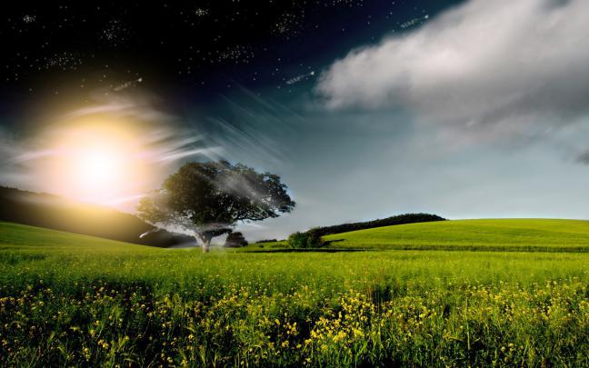 Free HD Desktop cool widescreen wallpapers - ::::Wallpapers Gallery::::