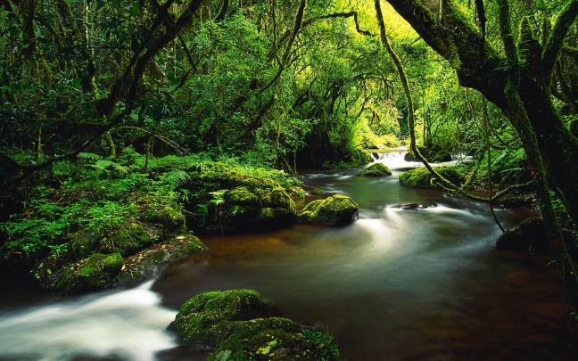 Stream, Widescreen, Full, HD, Wallpaper, For, Desktop, Background 
