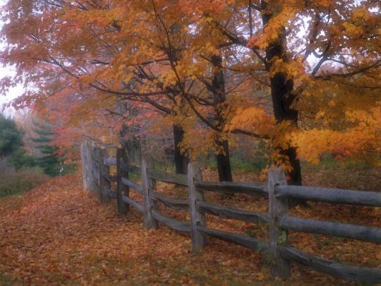 Country Wallpaper HD Image Download Free