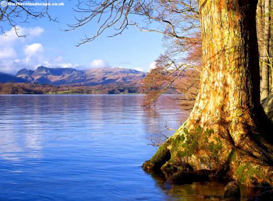 Wallpaper 1024X768 Nature Scenes | Free HD Wallpapers