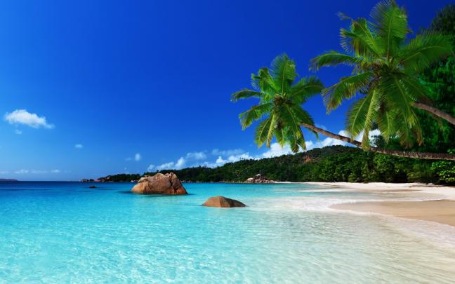 Jamaica Beach Wallpaper \u00b7\u2460 