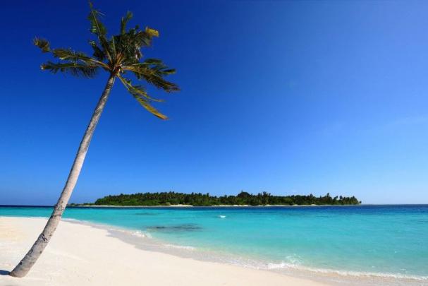 Jamaica Beach Wallpaper \u00b7\u2460 