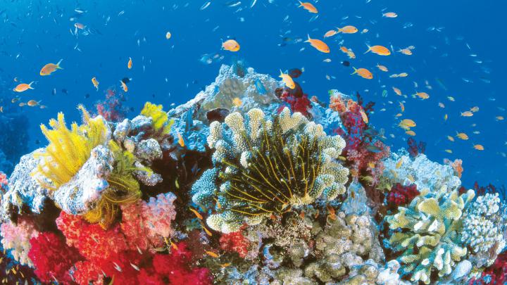 Jamaica Wallpaper Screensavers (53+ images)