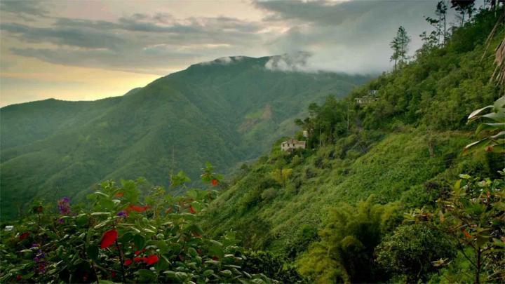 Jamaica Wallpaper (69+ images)
